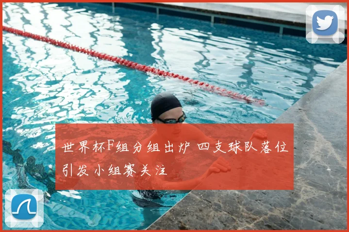 世界杯F组分组出炉 四支球队落位引发小组赛关注