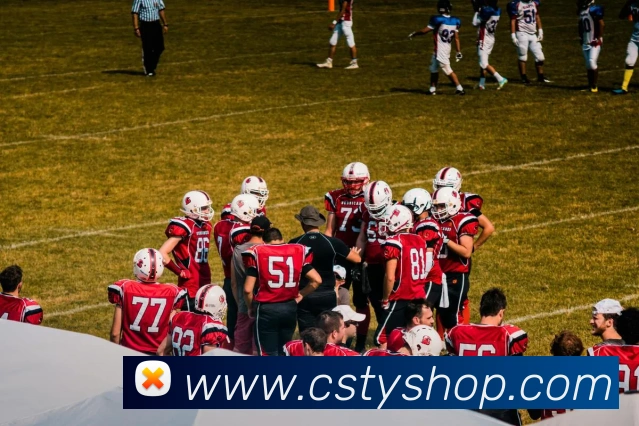 半岛官网手机版登录平台生态图